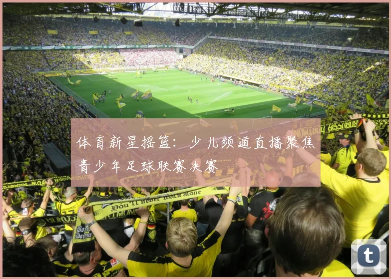 体育新星摇篮：少儿频道直播聚焦青少年足球联赛决赛